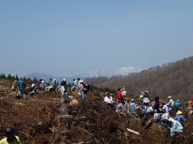 牛道財産区　植樹祭